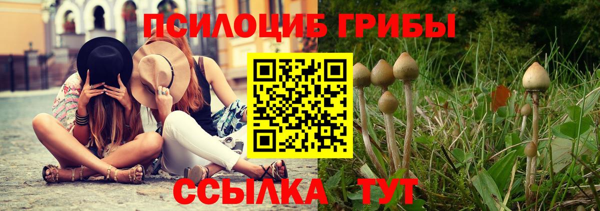 Псилоцибиновые грибы Psilocybine cubensis  Псилоцибиновые грибы ЛСД  Заволжье  Вход с VPN 